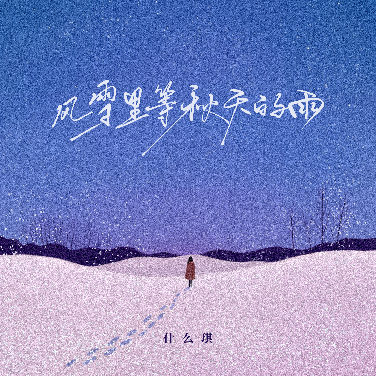 风雪里等秋天的雨封面