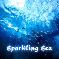 Sparkling Sea