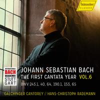 Vision Bach, Vol 6 - The First Cantata Year - Cantatas from the first Christmas day to Epiphany