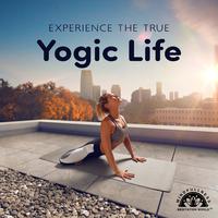 Experience the true Yogic Life (Music for Deep Mindfulness Meditation)