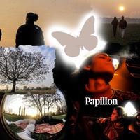 Papillon