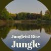 Junk Music - Jungleist Rise Jungle