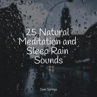 25 Natural Meditation and Sleep Rain Sounds