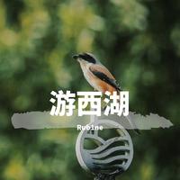 游西湖