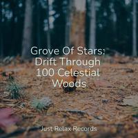 Grove Of Stars: Drift Through 100 Celestial Woods