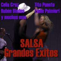 Salsa Grandes Éxitos