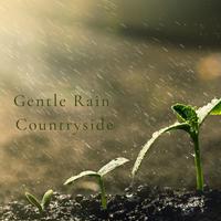 Gentle Rain Countryside