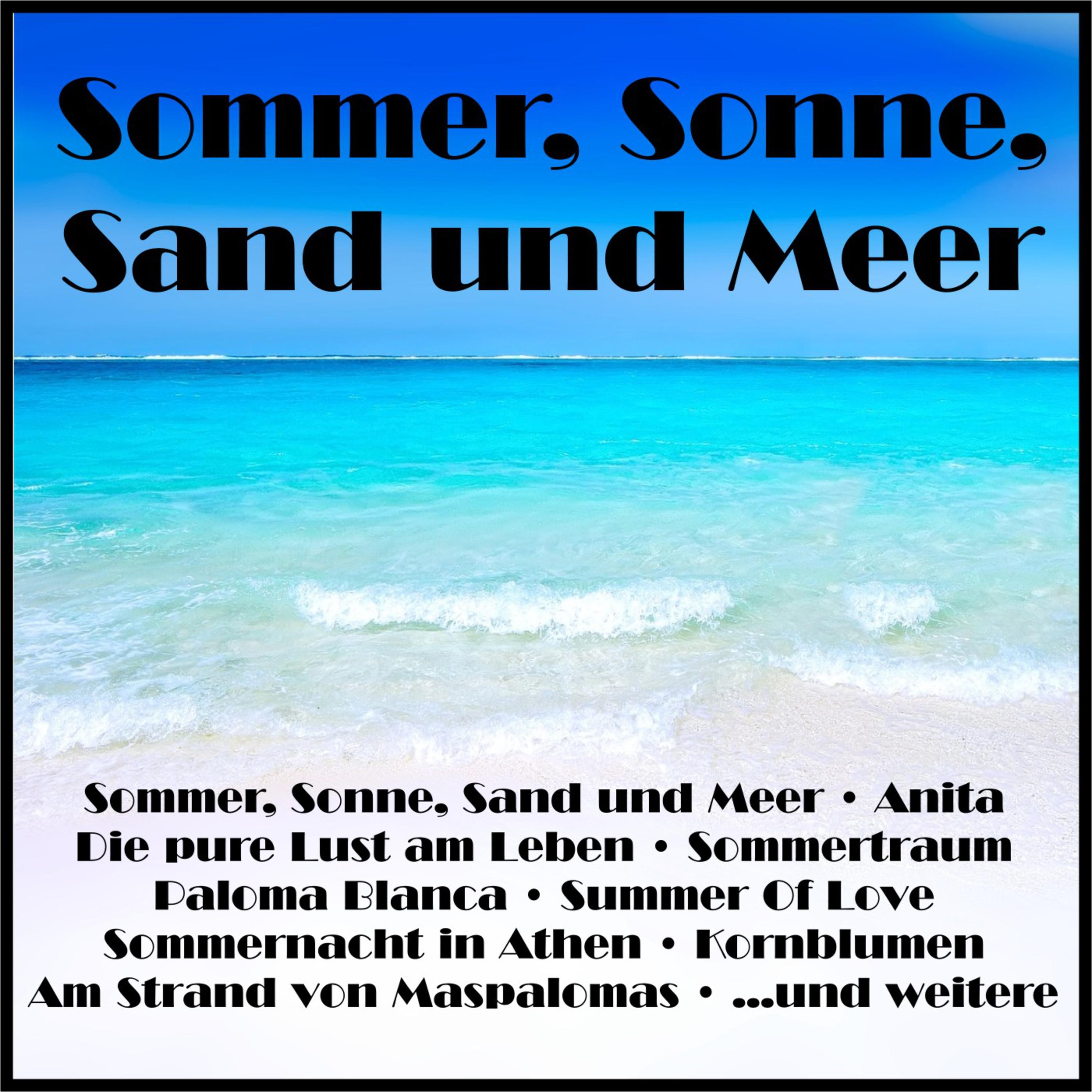 Sommer, Sonne, Sand und Meer - Various Artists - 专 辑 - 网 易 云