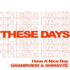 Grandview - These Days (feat. Shwayze)