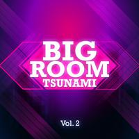 Bigroom Tsunami, Vol. 2