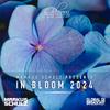 Yotto - Forget (In Bloom 2024)