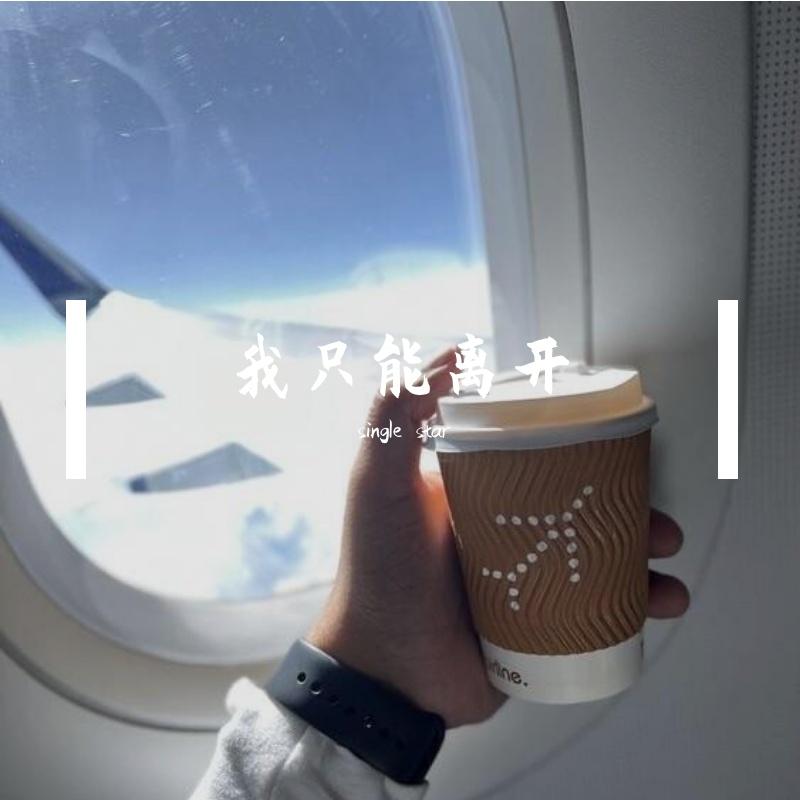 我只能离开DJ新版