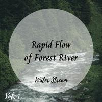 Water Stream: Rapid Flow of Forest River Vol. 1