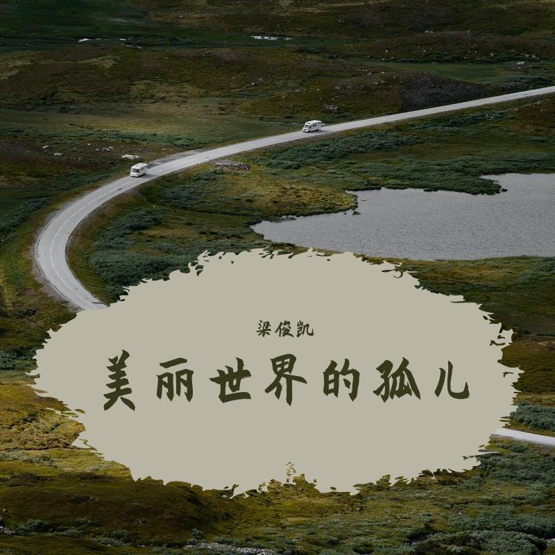 美丽世界的孤儿 （弹唱版）封面