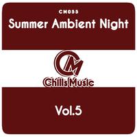 Summer Ambient Night, Vol. 5