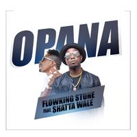 Opana (feat. Shatta Wale)