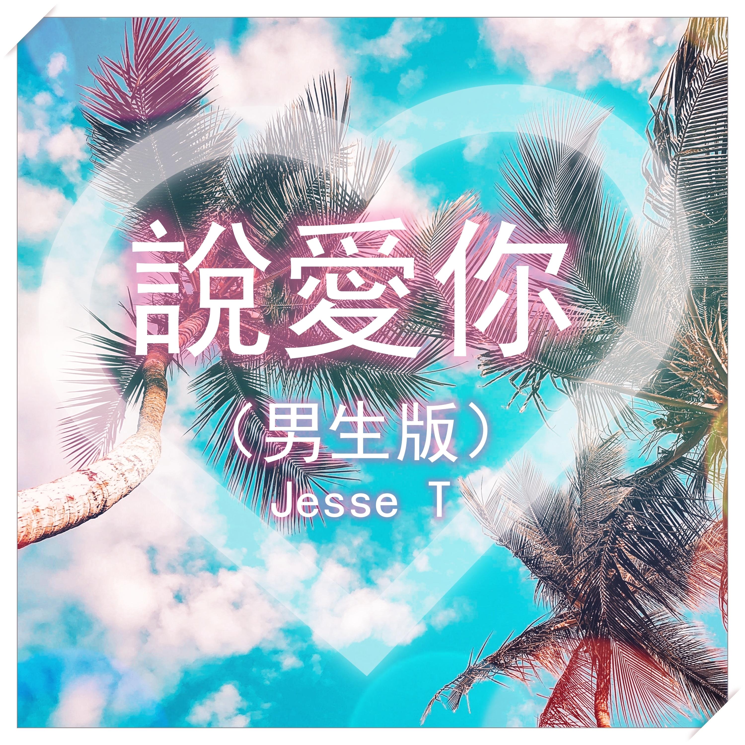 說愛你 (男生版)封面