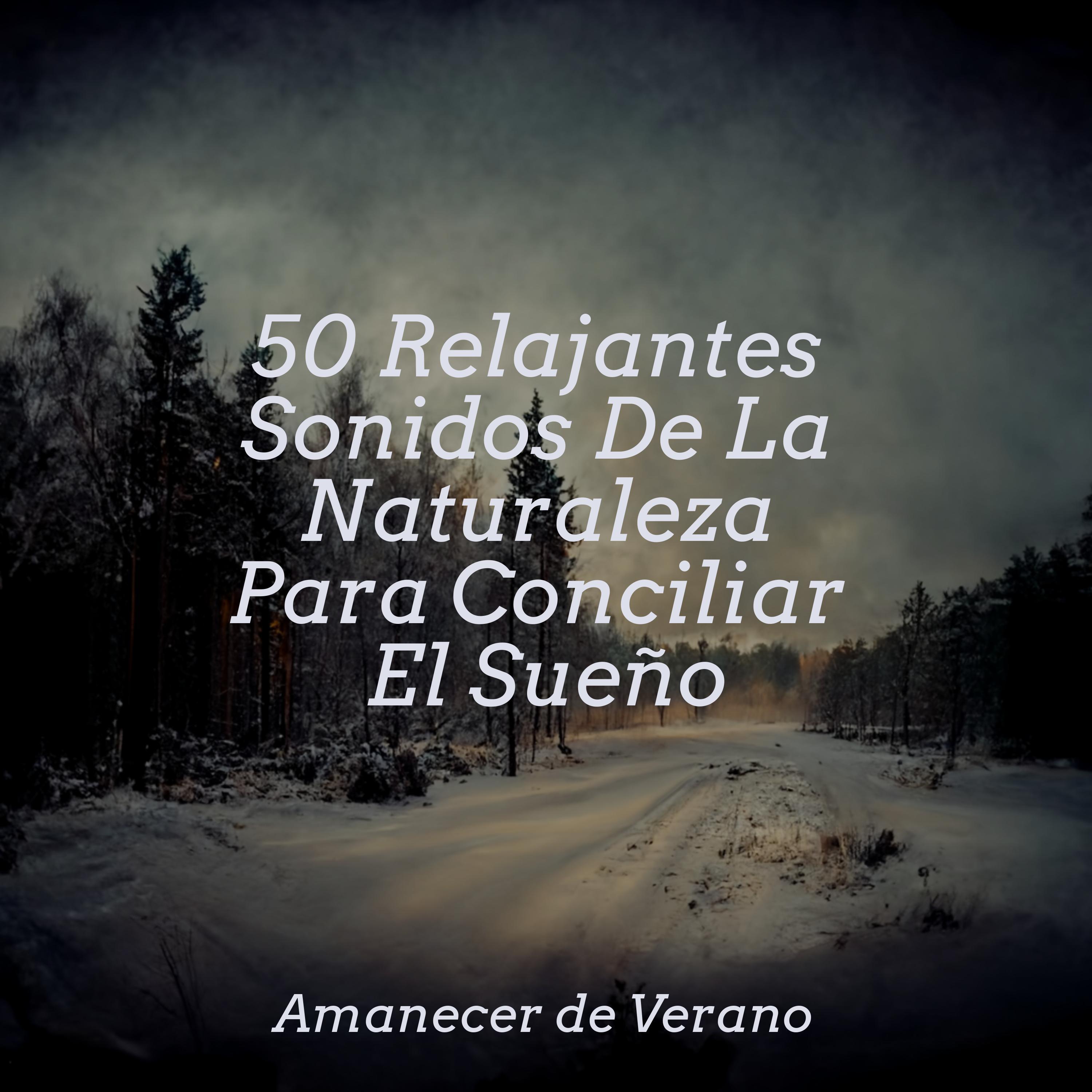 Lamento Del Mar Profundo Lullabies For Deep Meditation Musica