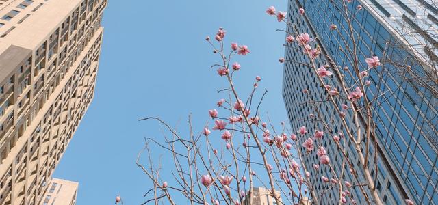 二南组合头像
