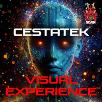 Cestatek (VISUAL EXPERIENCE)