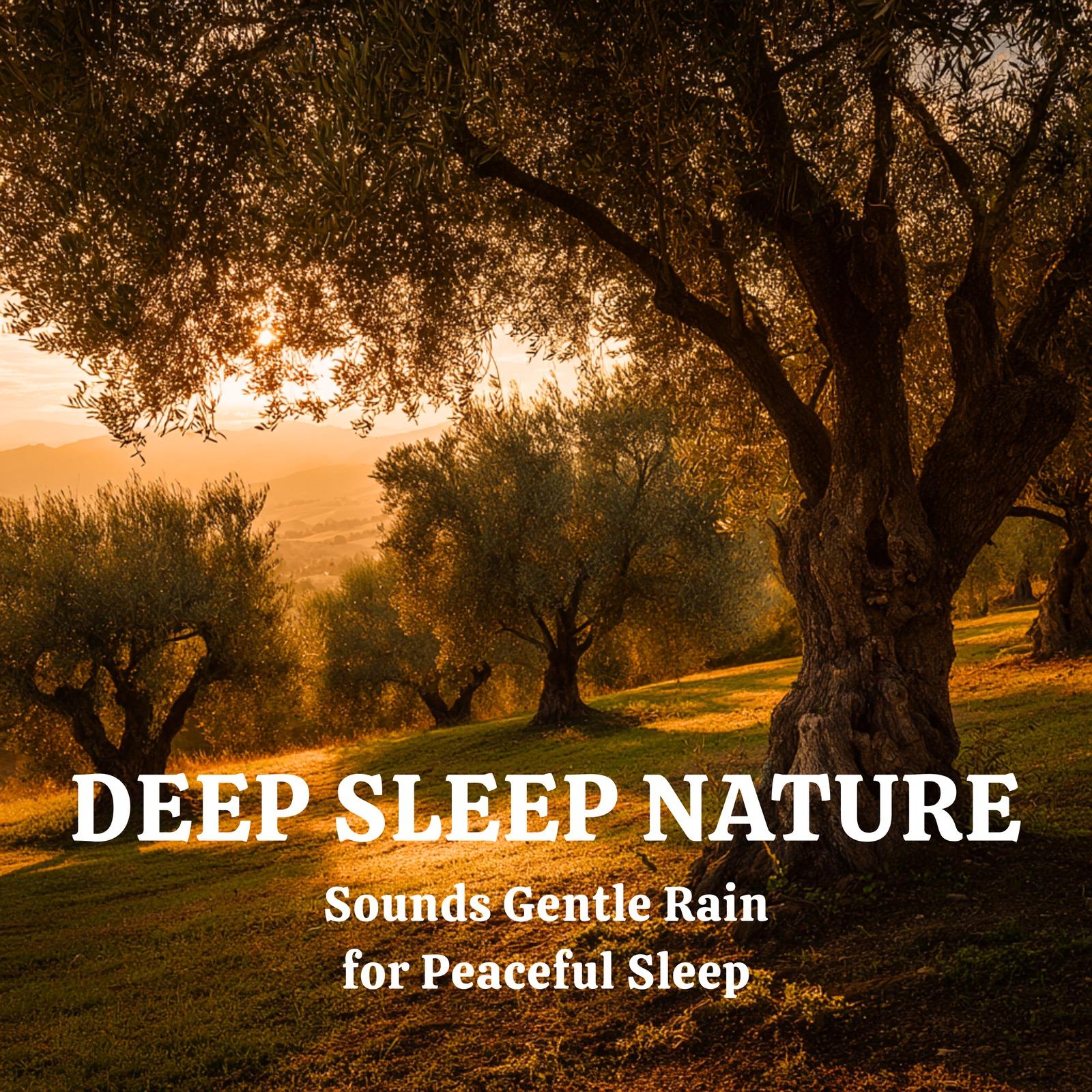 Deep Sleep Nature Sounds Gentle Rain for Peaceful Sleep - Nature sounds ...