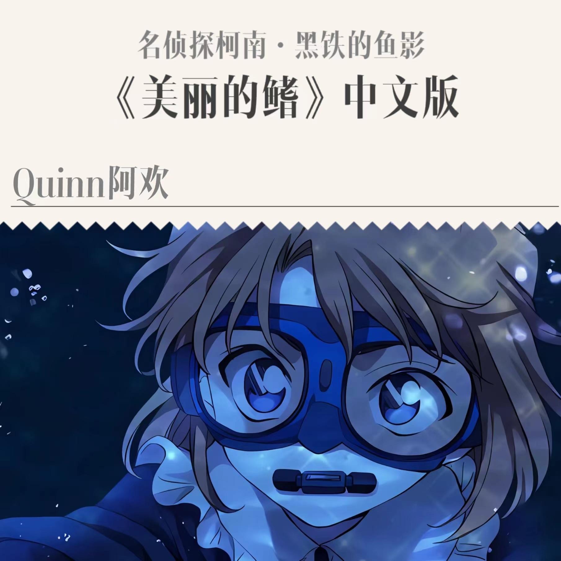 美丽的鳍封面