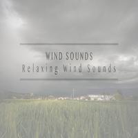 Relaxing Wind Sounds