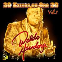 30 Exitos de Oro 30, Vol. 1