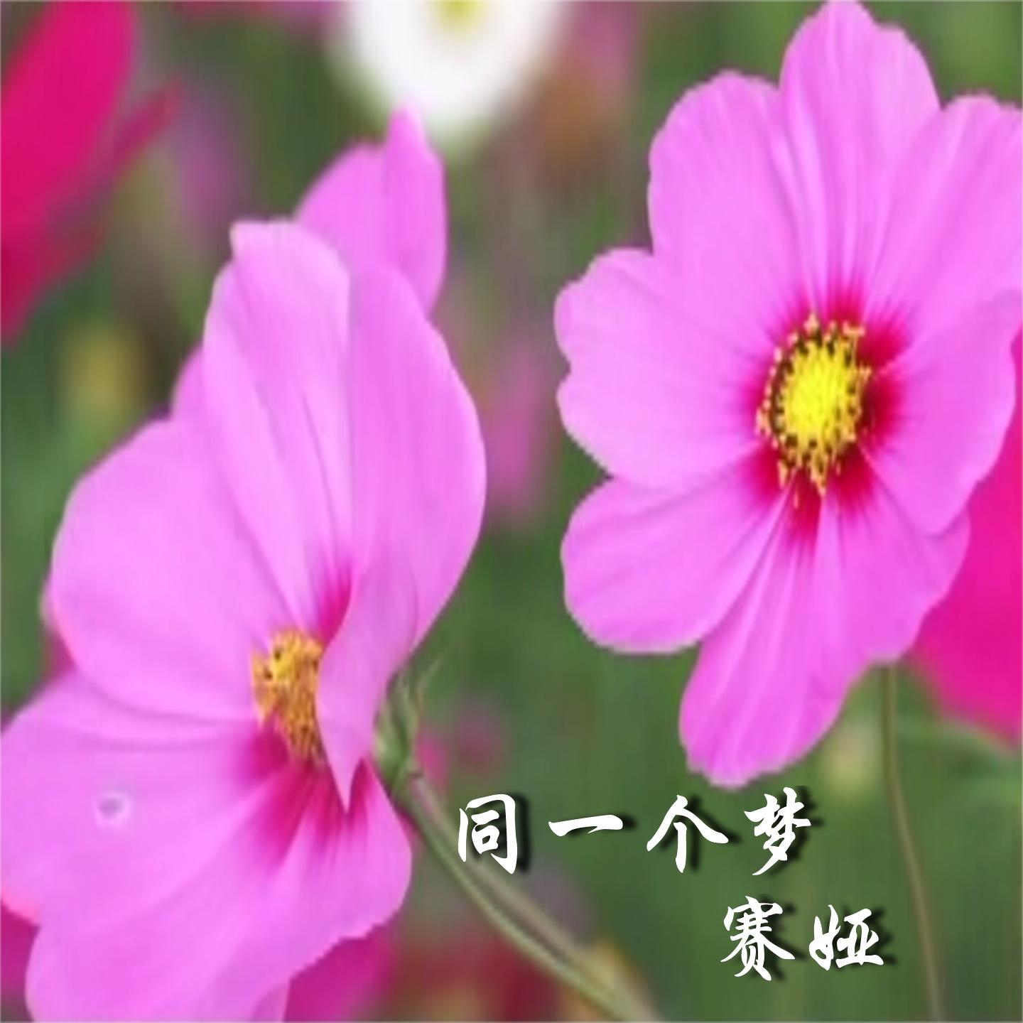 song-img