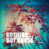 Nothing But House, Vol. 3