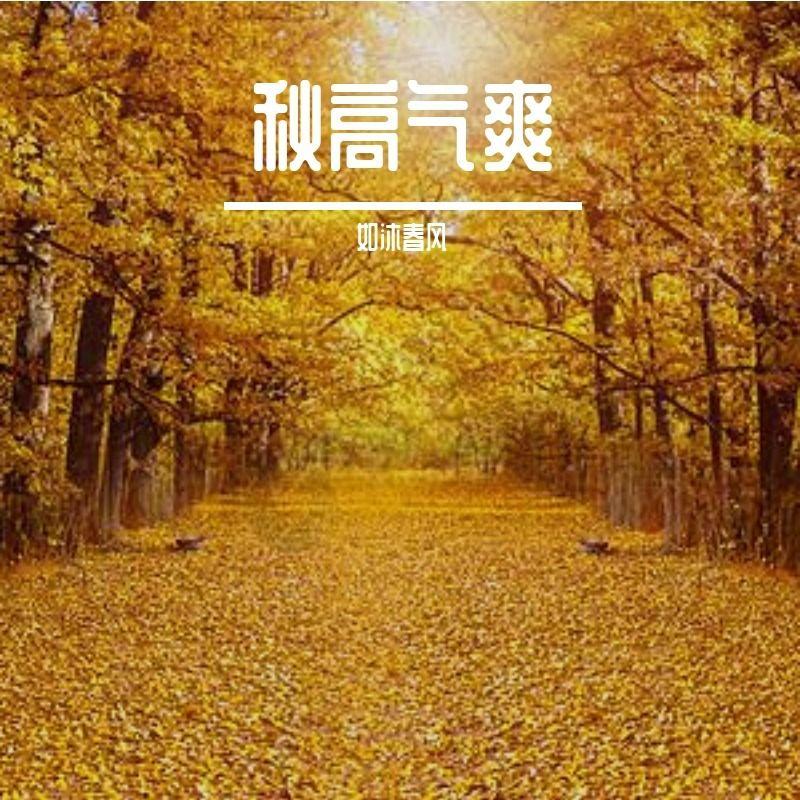不美封面