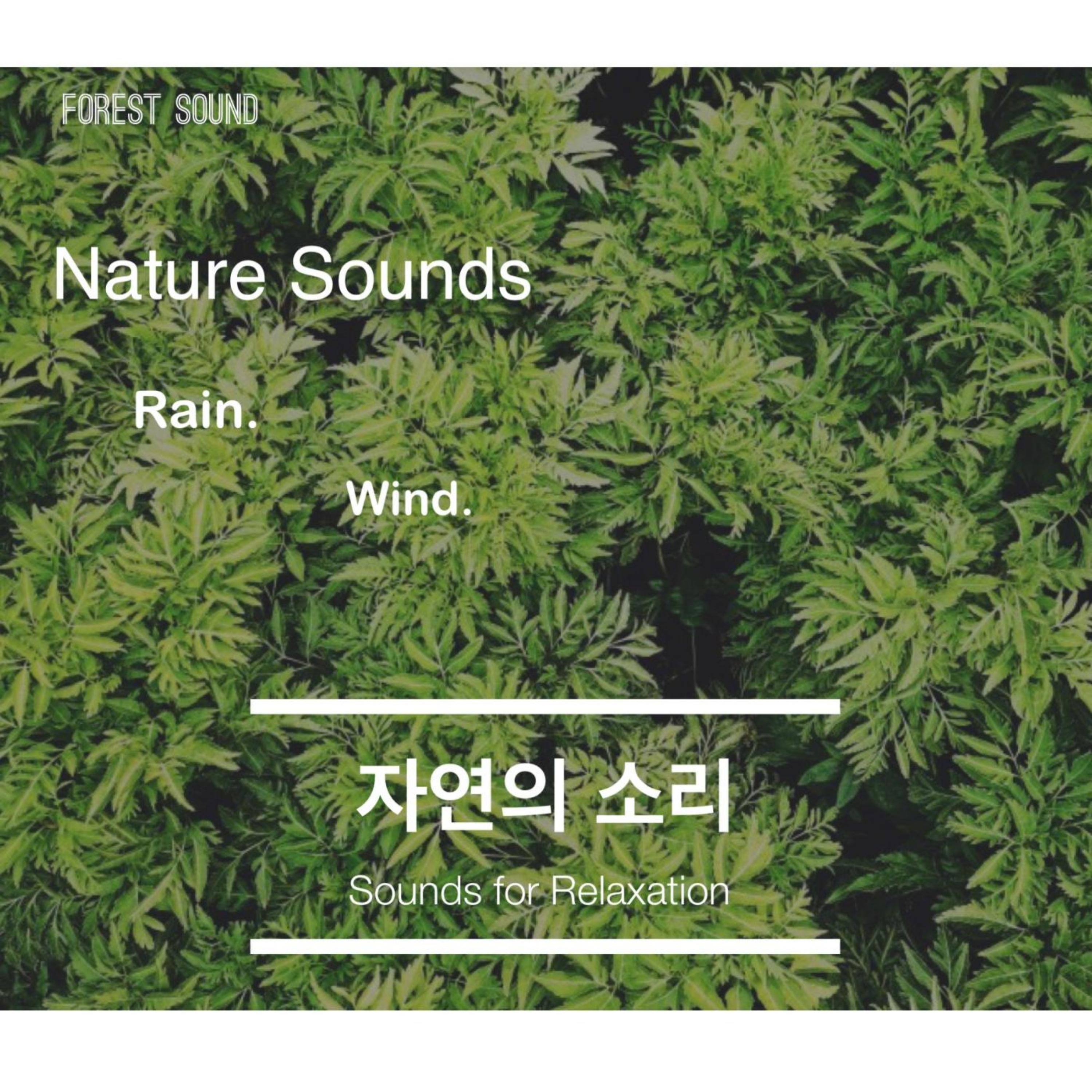 잘자요 (맑은 물소리 힐링 사운드)封面