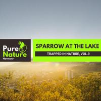 Sparrow at The Lake - Trapped in Nature, Vol.9