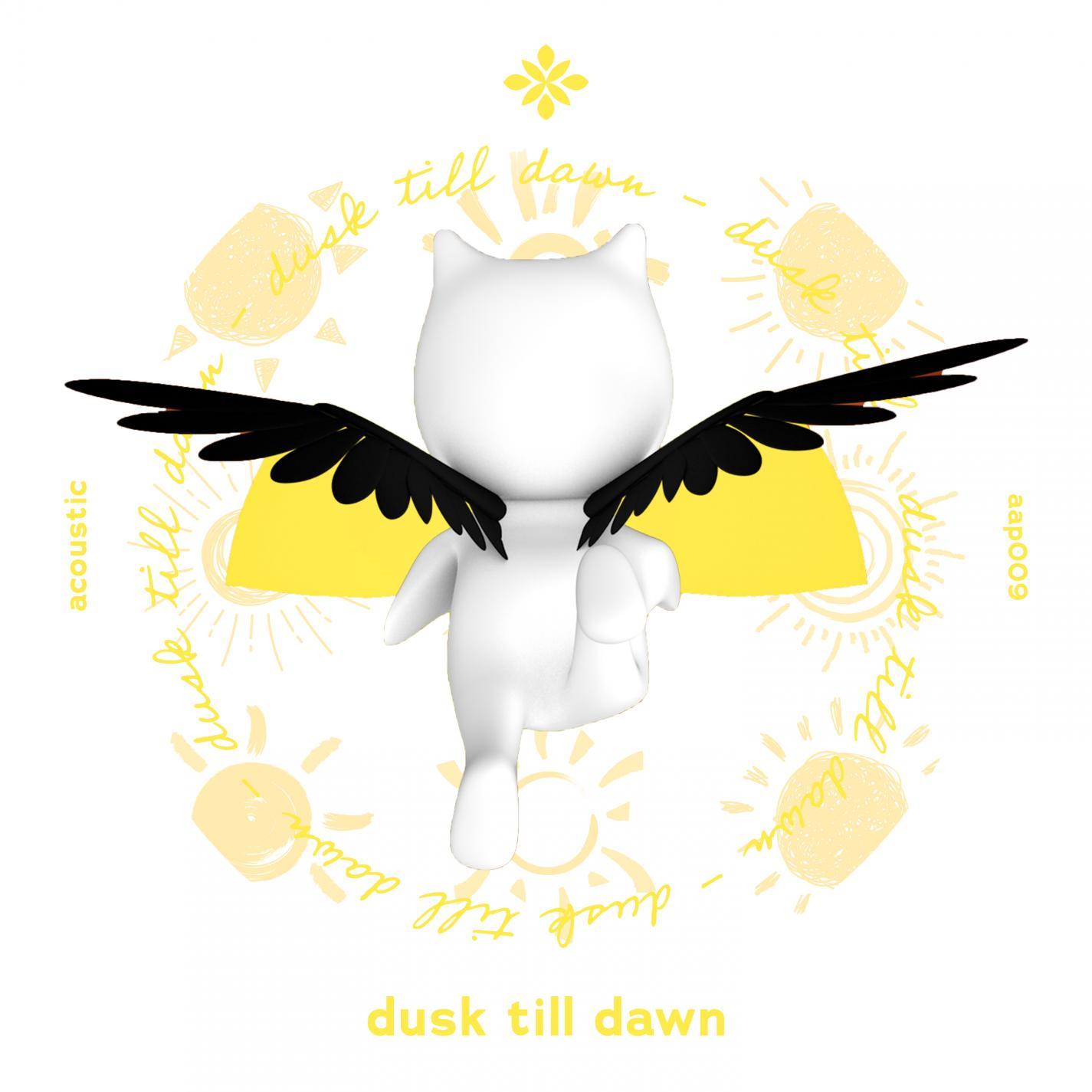 dusk till dawn - acoustic