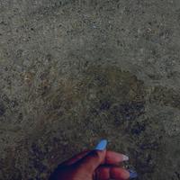 Talaya.资料,Talaya.最新歌曲,Talaya.MV视频,Talaya.音乐专辑,Talaya.好听的歌