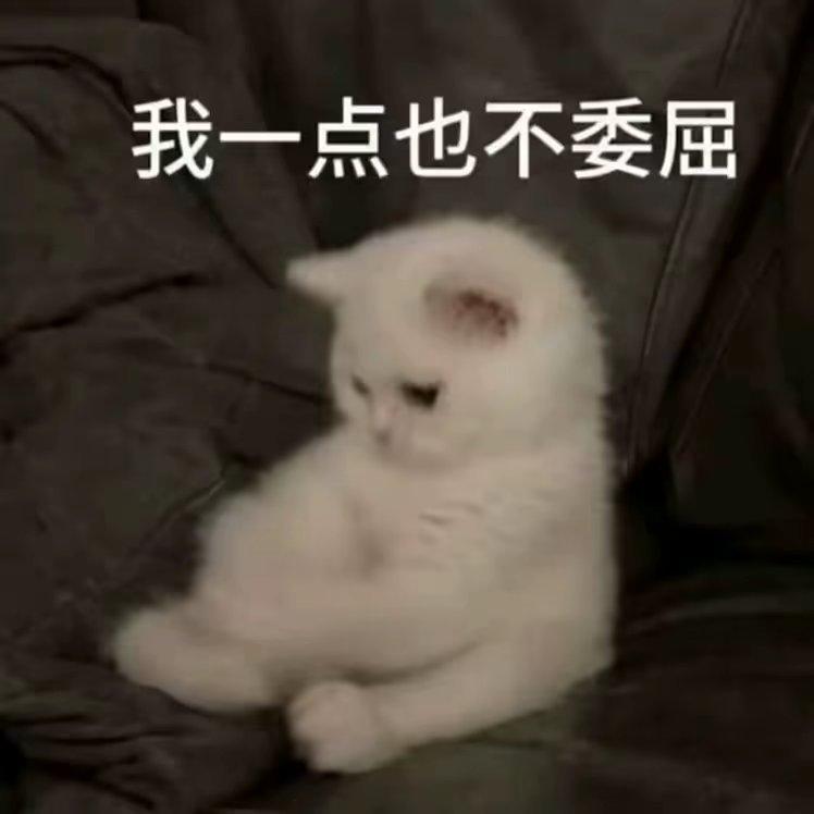自作多情 - 流星封面