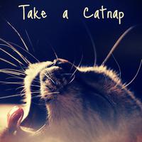 Take a Catnap