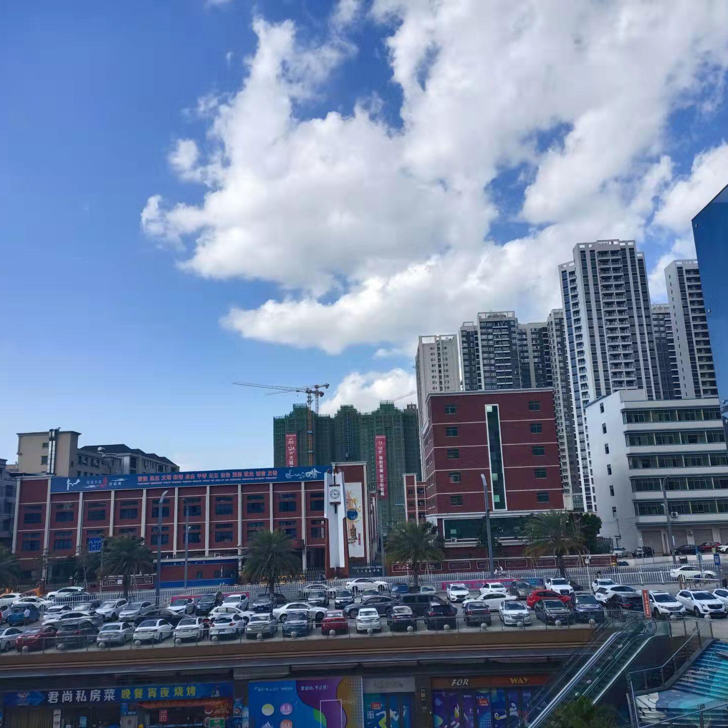 爱殇封面