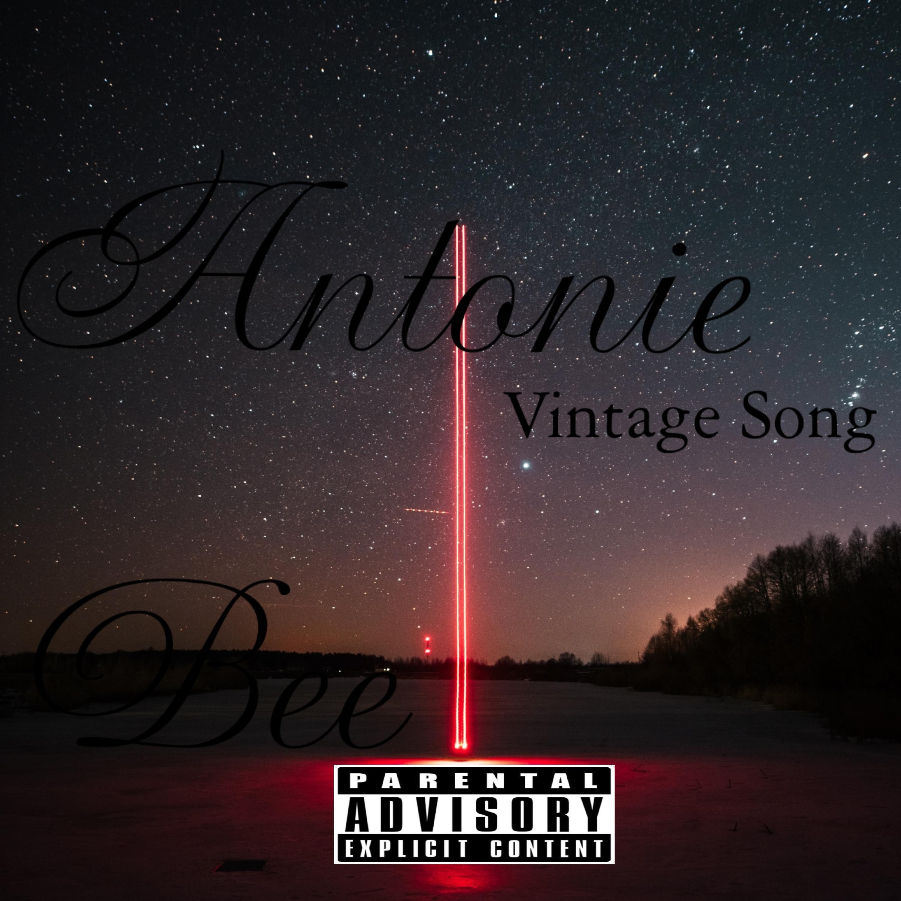 Vintange Song (Original mix)