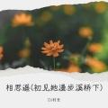 相思遥 (初见她漫步溪桥下)Remix(Remix)封面