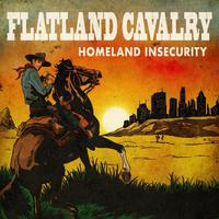 Homeland Insecurity