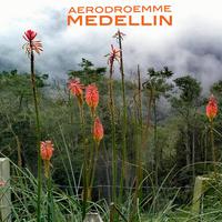 Medellin