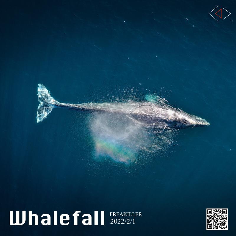 whalefall交易所