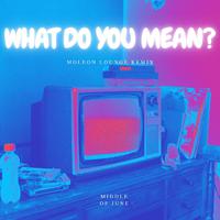 What Do You Mean - MOLEON remix