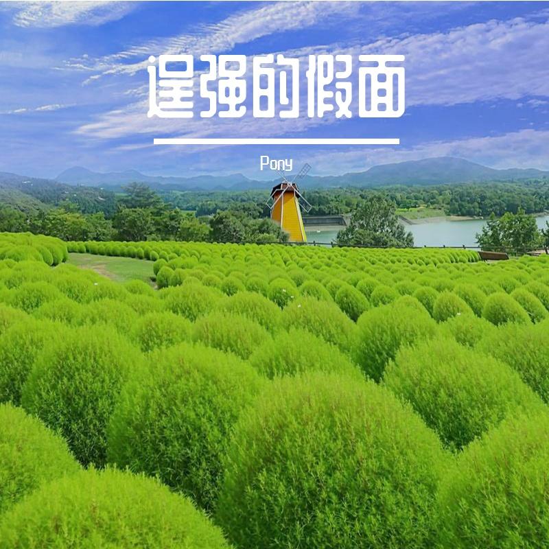逞强的假面封面