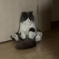 左一