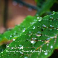 Rain Sound: Dripping Water Drops with Howling Wind Vol. 1