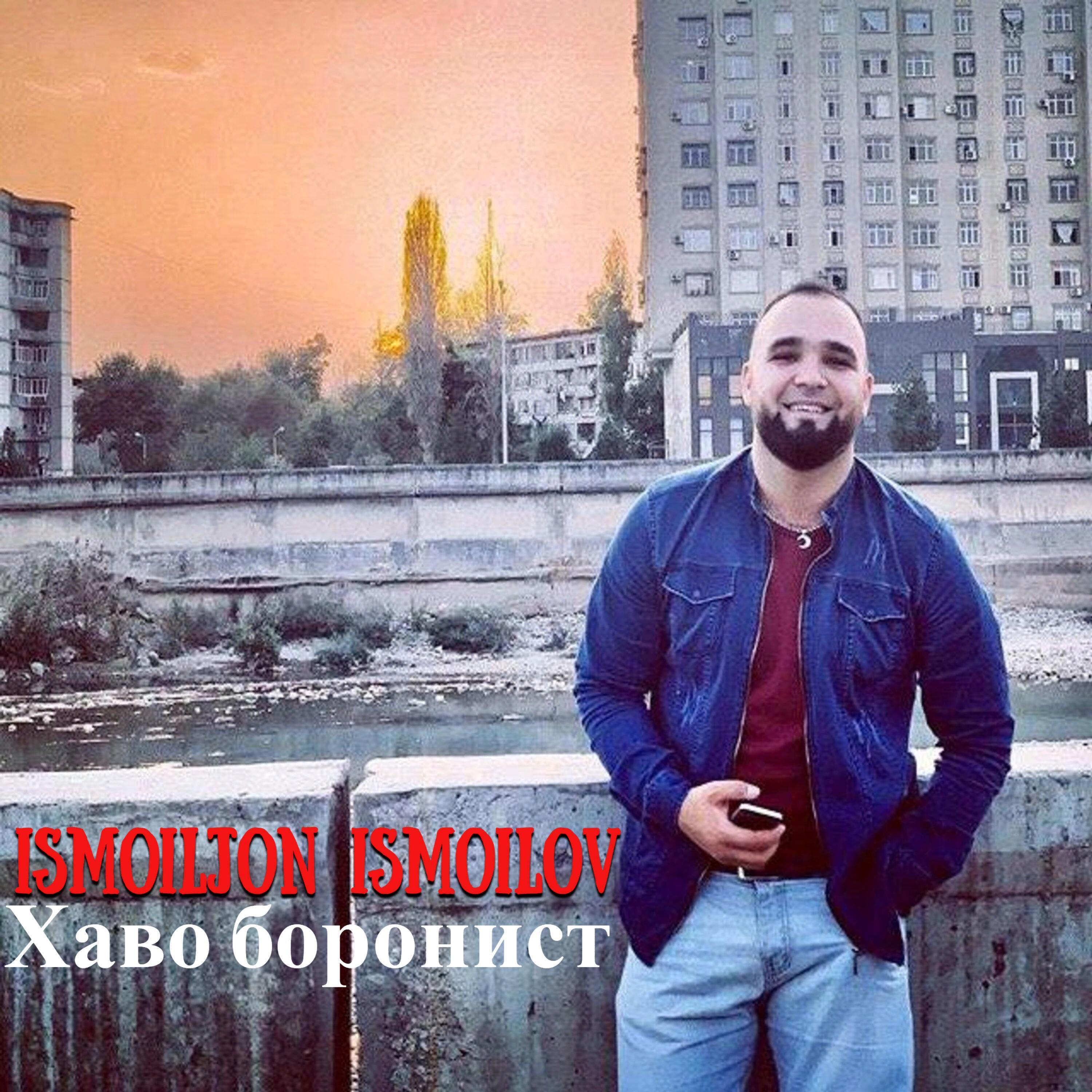 Хаво боронист