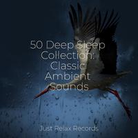 50 Deep Sleep Collection: Classic Ambient Sounds