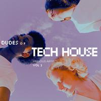 Dudes of Tech House, Vol. 2